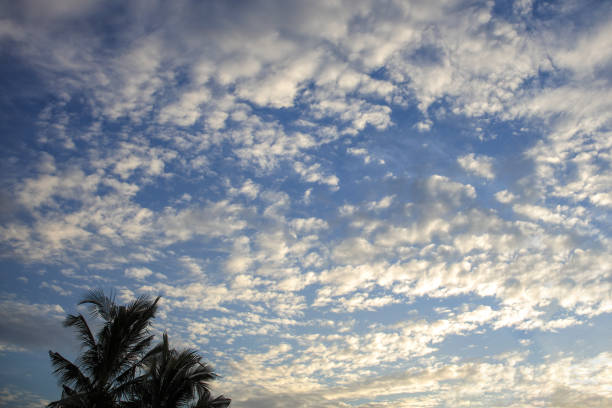 Look up on the blue sky and white clouds background.