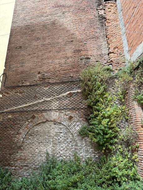 istock Old brick wall with a covered door. Madridista 1554013128