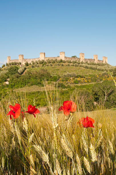 Historic town of Monteriggioni, looking over to the tuscan hills