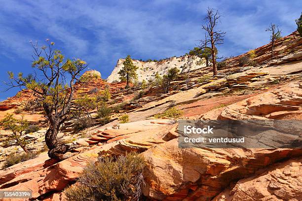 Parque Nacional Zion Estados Unidos Foto de stock y más banco de imágenes de Aire libre - Aire libre, Altiplanicie, Desierto