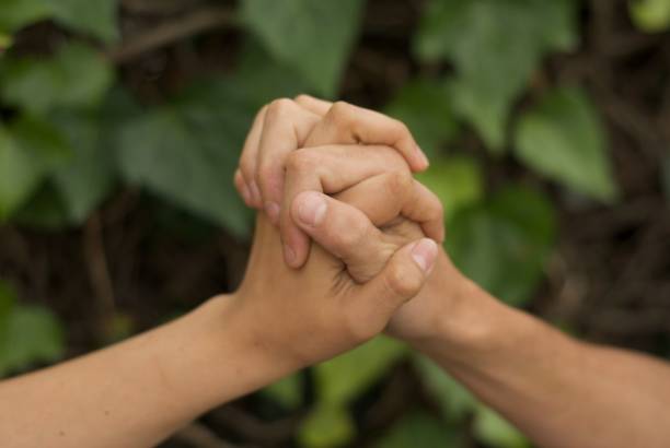 istock Hands together with bottom of green wall with plants 1554056543