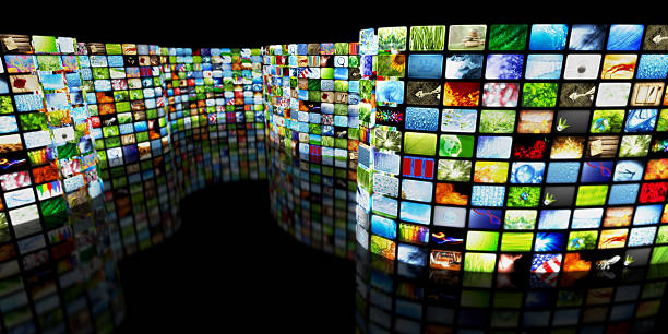 istock Collection of images 155406110