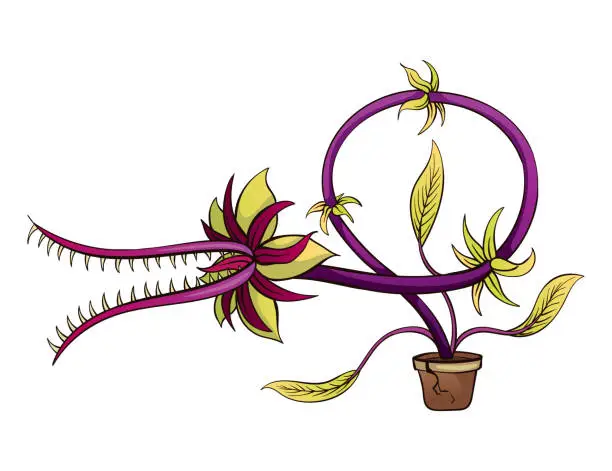 Vector illustration of Carnivorous plant. Cartoon flytrap in pot. Flower predator. Angry flower with teeth. Monster plant icon. Vector illustration