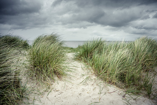 Sand dune with marram grass at the North Sea under a sky with clouds. Wangerland, Friesland, Lower Saxony, Germany