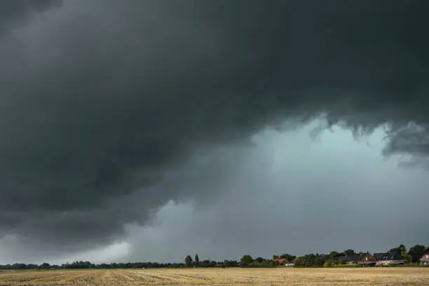Dark storm cloud over a ripe grainfield. Taken at Langewerth, Wilhelmshaven, Lower Saxony, Germany