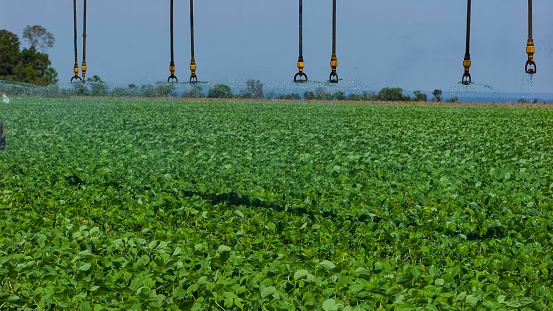 Watering a soya beans plantation field in Balsas, Maranhão.