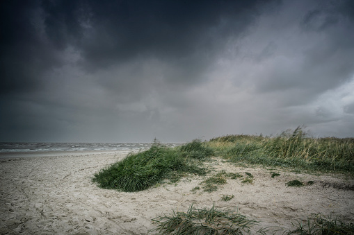 Sand dune with marram grass at the North Sea under storm clouds in autumn. Friesland, Lower Saxony, Germany