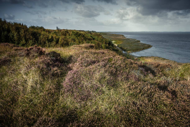 Viewpoint at the Morsum Kliff