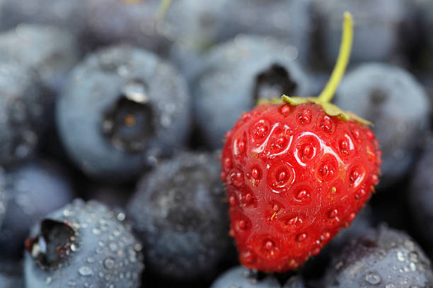 Berries