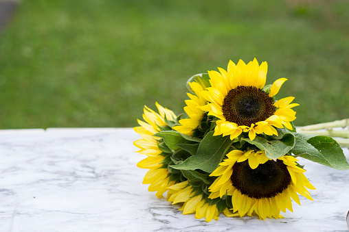 Beautiful wedding bouquet of sunflowers sitting on a white table outdoors with green grass in the background with copy space.