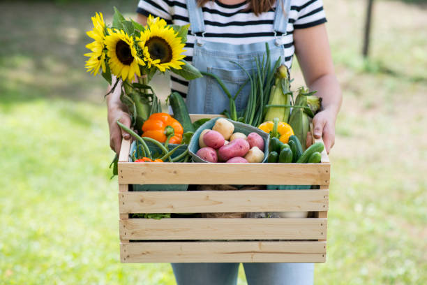 Farmer Holding Vegetables and Flowers