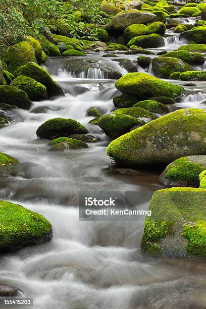 Fluxo De Montanha - Fotografias de stock e mais imagens de Tennessee - Tennessee, Nascente, Corrente - Água corrente