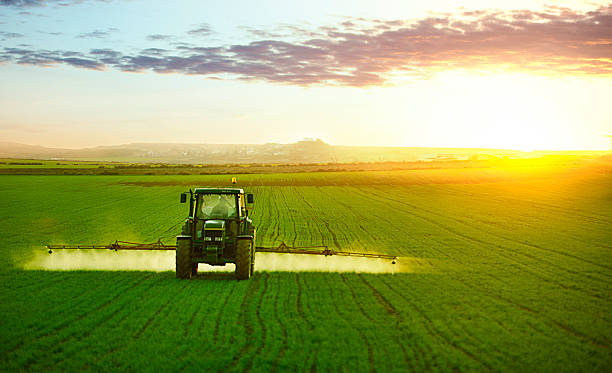 tractor en el campo de trigo de trabajo - fertilizante fotos fotografías e imágenes de stock