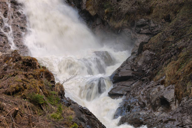 istock Spring Water Fall, Swiss Alps, Simmenfaelle, Bernese Oberland 155415320