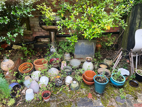 Assorted pots in a garden