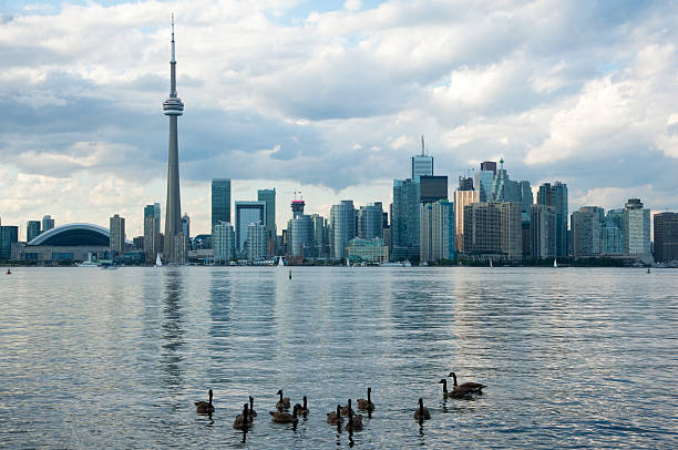 Toronto, Ontario - Skyline from Toronto Inner Harbour
