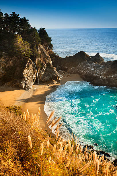 McWay Falls, Julia Pfeiffer State park, Big Sur, California, USA  big sur stock pictures, royalty-free photos & images