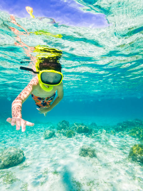 istock Boy snorkeling through Caribbean Sea 155415575