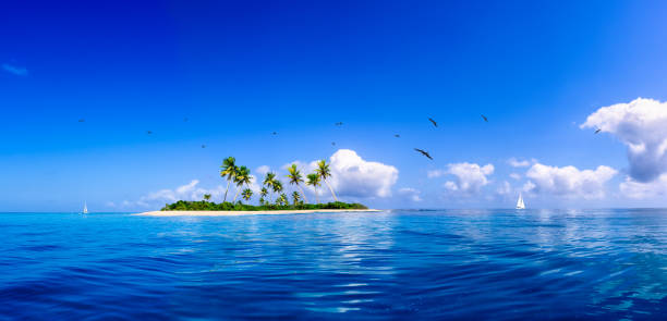 fantazja zdalnego samotny island w południowy ocean spokojny - sea island zdjęcia i obrazy z banku zdjęć