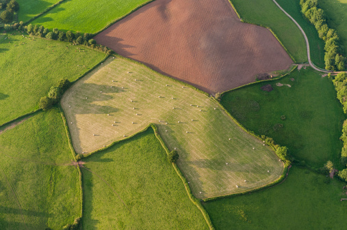 Patchwork quilt of vibrant green pasture, ploughed fields and farmland hedgerows from high above. ProPhoto RGB profile for maximum color fidelity and gamut.
