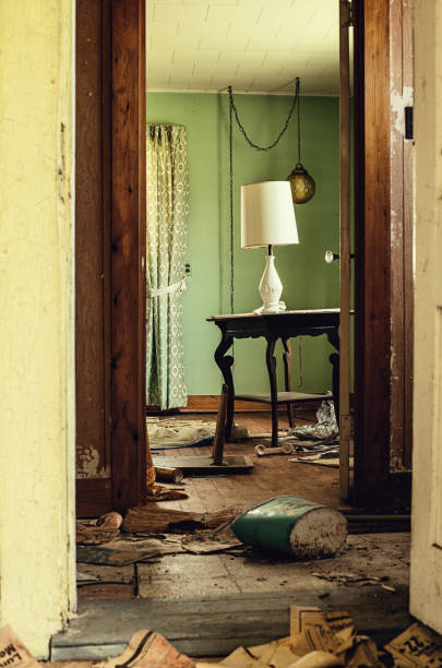 istock Chaotic Living Room 155416185