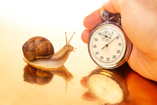 Snail and stopwatch in hand on a golden background. Speed ​​concept. Measuring time at a distance. Finish in sports competitions. Deadline at work