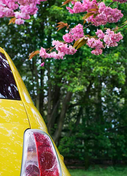A yellow colorful car is parked under a blossoming tree. Photographed during Spring in Durham, England. Focus on the lights.
[url=file_closeup.php?id=19530168][img]file_thumbview_approve.php?size=1&id=19530168[/img][/url] [url=file_closeup.php?id=19513945][img]file_thumbview_approve.php?size=1&id=19513945[/img][/url] [url=file_closeup.php?id=20131865][img]file_thumbview_approve.php?size=1&id=20131865[/img][/url] [url=file_closeup.php?id=20721072][img]file_thumbview_approve.php?size=1&id=20721072[/img][/url] [url=file_closeup.php?id=20980506][img]file_thumbview_approve.php?size=1&id=20980506[/img][/url] [url=file_closeup.php?id=25307147][img]file_thumbview_approve.php?size=1&id=25307147[/img][/url]