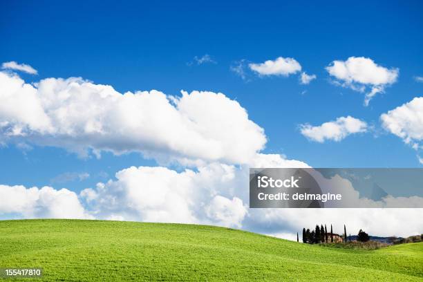 Fattoria Con Cypress Toscana - Fotografie stock e altre immagini di Agricoltura - Agricoltura, Albero, Ambientazione esterna