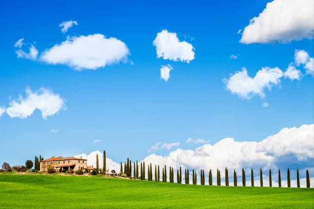istock Farm with Cypress, Tuscany 155417815