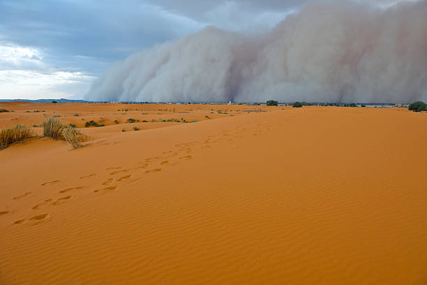 istock Dust Storm in Sahara Desert 155417984