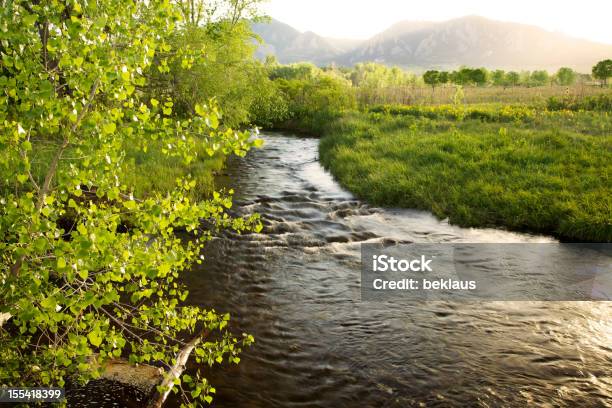 Flusso Che Affluisce Attraverso Campi Verde - Fotografie stock e altre immagini di Acqua - Acqua, Acqua fluente, Ambientazione esterna