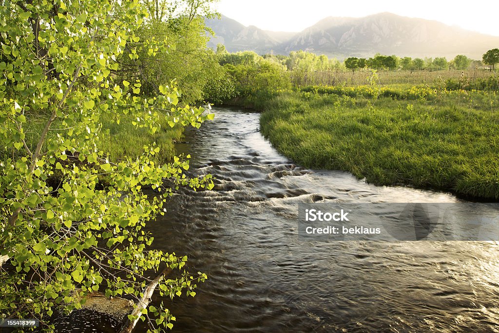 Stream fluindo através de campos verdes - Foto de stock de Beleza natural - Natureza royalty-free