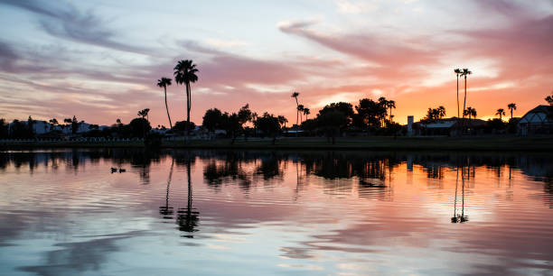 istock Silhouetted trees reflecting in lake 155418420