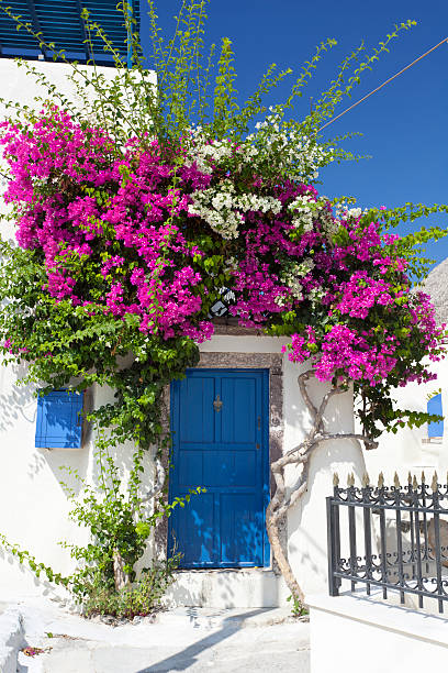 casa con buganvilia, santorini - clear sky vacations vertical saturated color fotografías e imágenes de stock