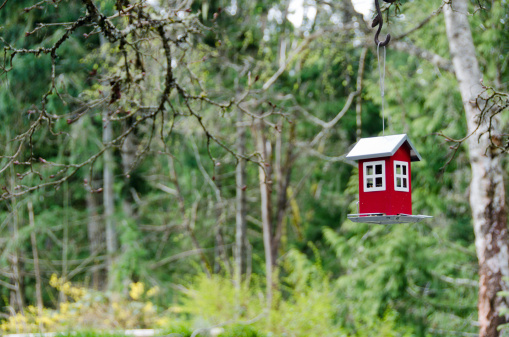 A homemade colorful bird feeder hanging in a forest. The feeder looks like a small red house. Selective focus on the house.