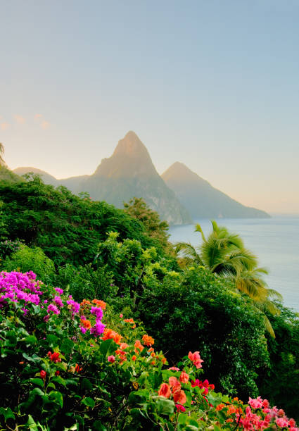 Photo of St. Lucias Twin Pitons at sunrise stock photo