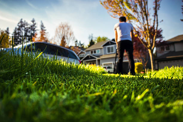 segar el jardín - coche doméstico fotografías e imágenes de stock