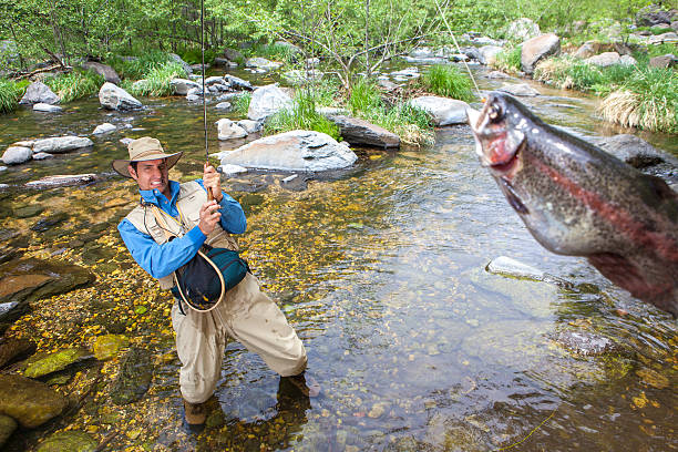 A fly angler gently releases a cutthroat trout back into a mountain stream. The photo shows the angler’s legs in waders and hands cradling the trout, with only the fish’s head above the water and in sharp focus. The rest of the scene — including the angler’s body and the flowing stream — fades softly into the background. This image captures the quiet, respectful moment of catch and release fly fishing, emphasizing conservation and connection to nature.