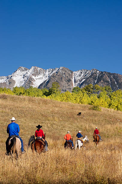 paisagem de montanha de equitação - horseback riding cowboy riding recreational pursuit - fotografias e filmes do acervo