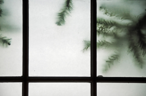 Looking through an old frosted window with fir branches on the outside of the window. Copy space.