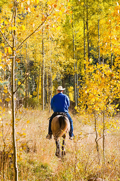 jesień kowboj - cowboy horseback riding nature blue zdjęcia i obrazy z banku zdjęć