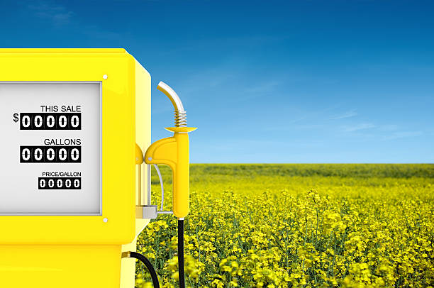 rapeseed biofuel konzept - biodiesel stock-fotos und bilder
