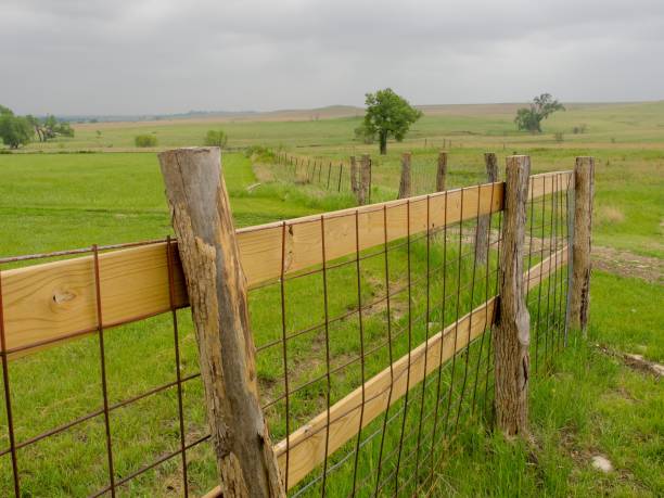 istock Fence coral at Spring Hill ranch, Tallgrass Prairie Preserve Kansas 1554195528