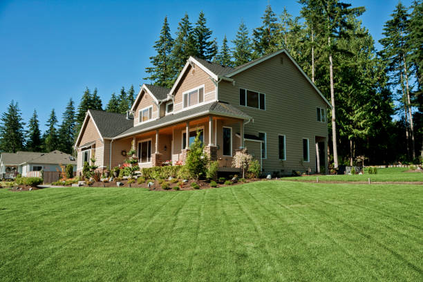 istock Our home with fresh cut lush green grass 155419664