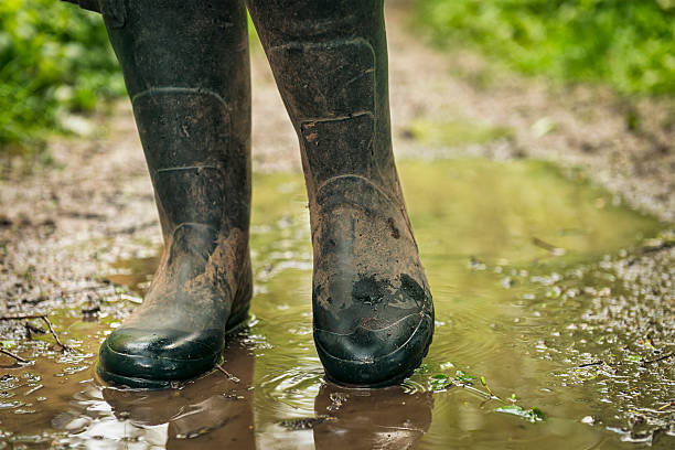 molhado e enlameado país caminhar - wet places imagens e fotografias de stock