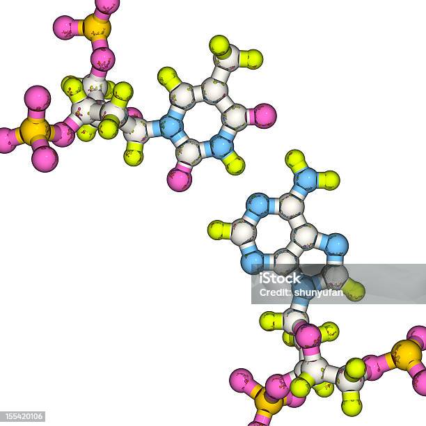 モデルの Dna ベースペア - 3Dのストックフォトや画像を多数ご用意 - 3D, DNA, つながり