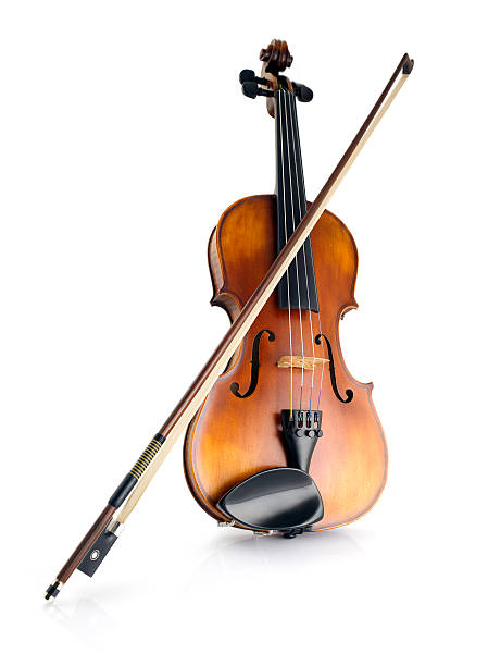 Violin Violin isolated on white background violin stock pictures, royalty-free photos & images