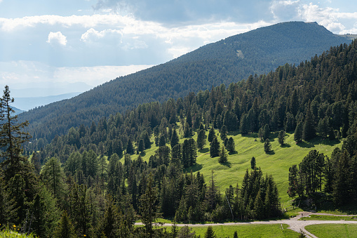 Scenic view of forest covering mountains\nDolomites, Italy