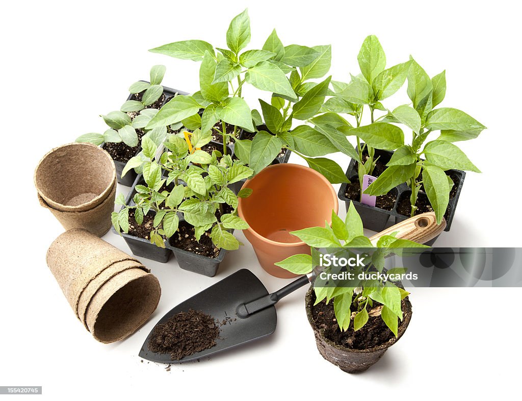 Legumes itens de jardinagem - Foto de stock de Figura para recortar royalty-free