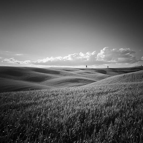 Monochrome landscape valley in Italy